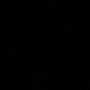 Meet your Posher, Ashlyn